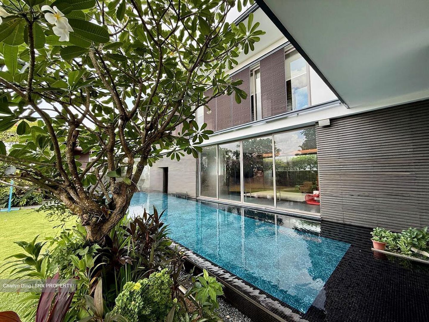 Braddell Heights Estate (D13), Detached #489599941